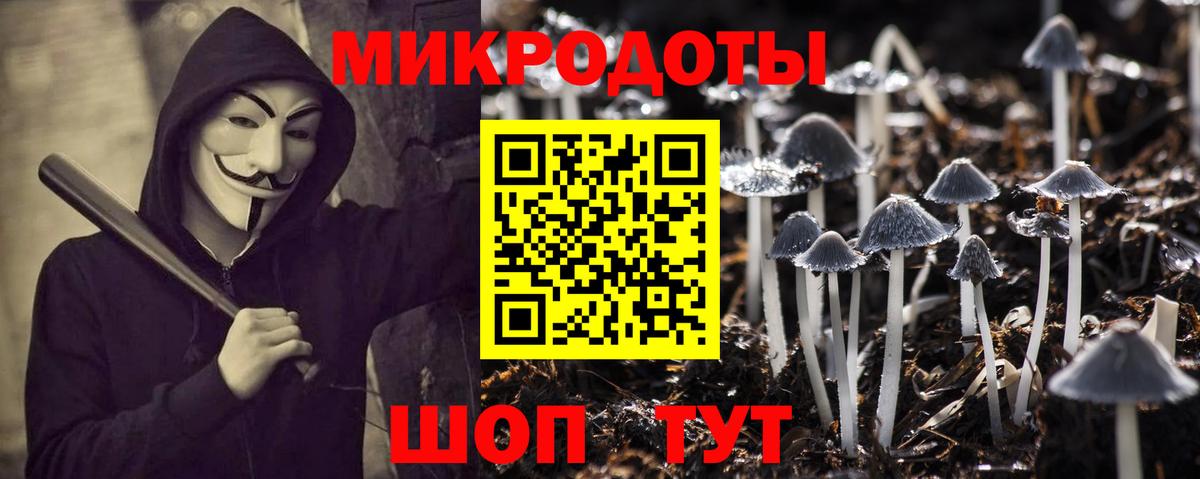 Псилоцибиновые грибы Psilocybine cubensis Губаха