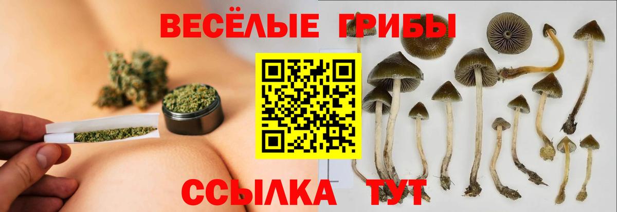 Губаха  Галлюциногенные грибы мицелий  Вход с VPN 
